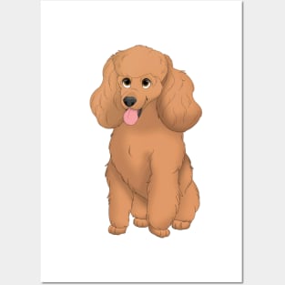 Red Miniature Poodle Dog Posters and Art